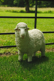 Realistic White Sheep Garden Statue Ornament Resin Outdoor Farm Animal Decor10