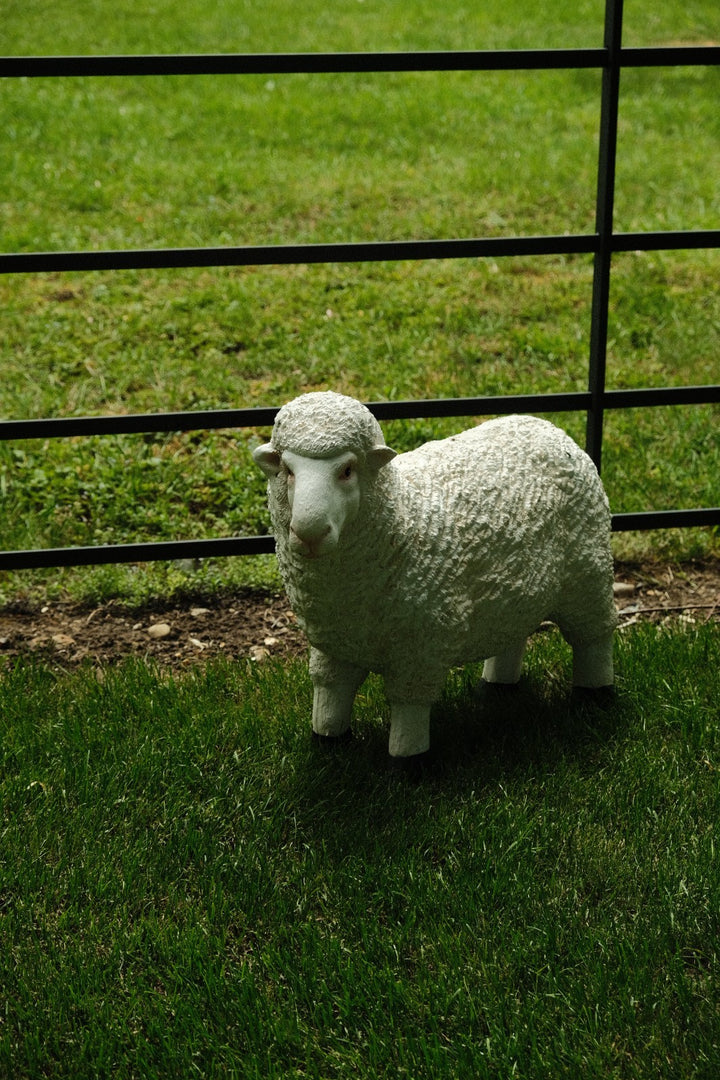 Realistic White Sheep Garden Statue Ornament Resin Outdoor Farm Animal Decor7
