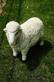 Realistic White Sheep Garden Statue Ornament Resin Outdoor Farm Animal Decor19