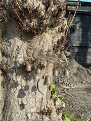 5 Birds Hanging Windchime Bird Chime Garden Gift Decor Decoration Bells Chain4