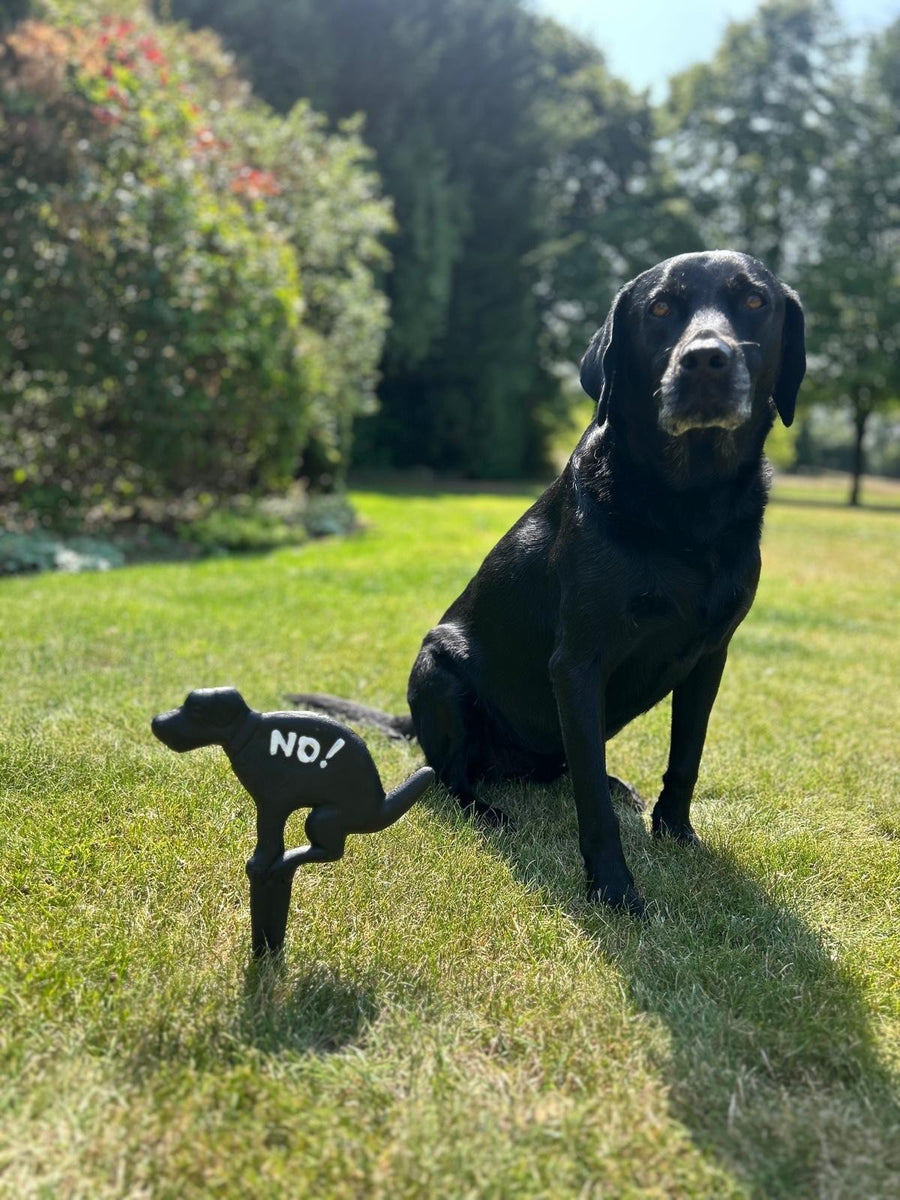 No Fouling Garden Stake Black Cast Iron Dog Sign Grass Garden No! Noti ...