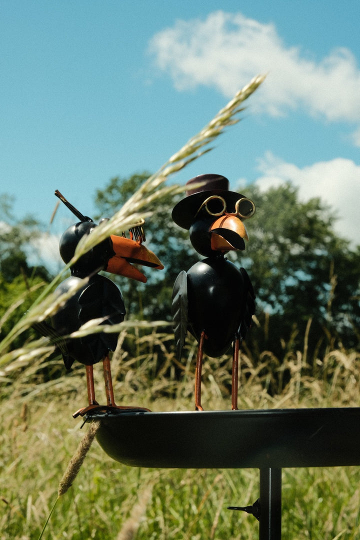 Crow Dad With Baby Birdbath Bird Bath Feeder Garden Water Bowl Gift Decor Stake16