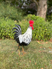 Decorative Black & White Metal Cockerel Rooster Garden Outdoor Lawn Ornament6