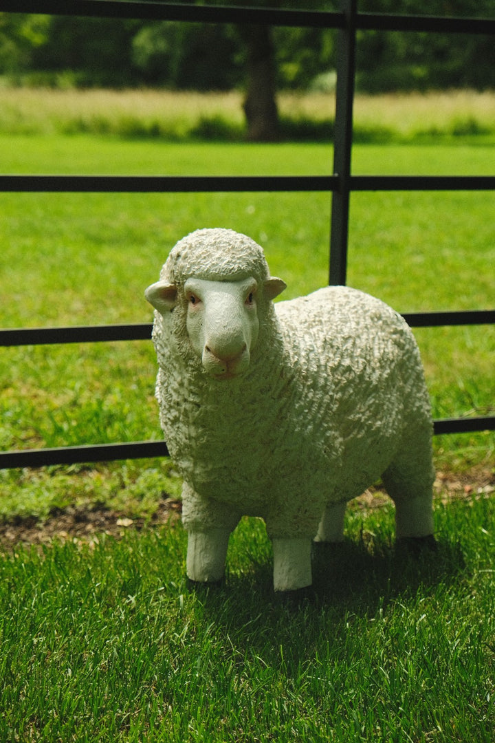 Realistic White Sheep Garden Statue Ornament Resin Outdoor Farm Animal Decor0