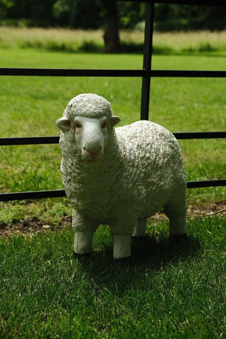 Realistic White Sheep Garden Statue Ornament Resin Outdoor Farm Animal Decor9