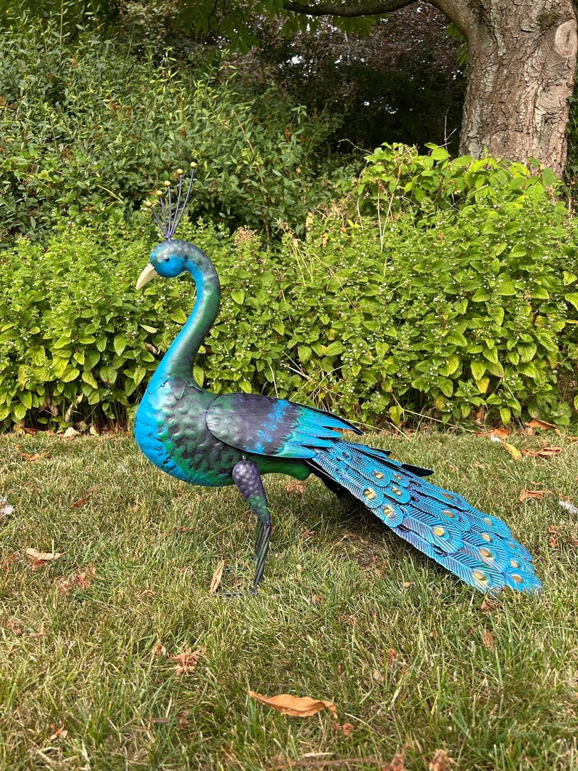 Tail Down Decorative Peacock Bird Animal Metal Garden Giftware  Ornament14