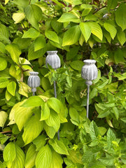 Set Of 3 Poppy Seed Heads Vintage Metal Ornament Garden Stake Outdoor Giftware3