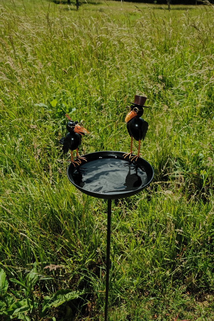 Crow Dad With Baby Birdbath Bird Bath Feeder Garden Water Bowl Gift Decor Stake8