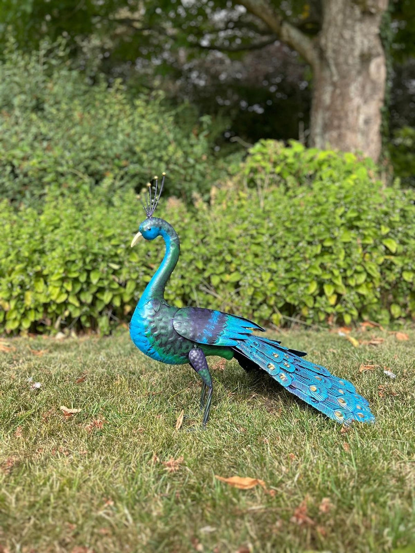 Tail Down Decorative Peacock Bird Animal Metal Garden Giftware  Ornament15