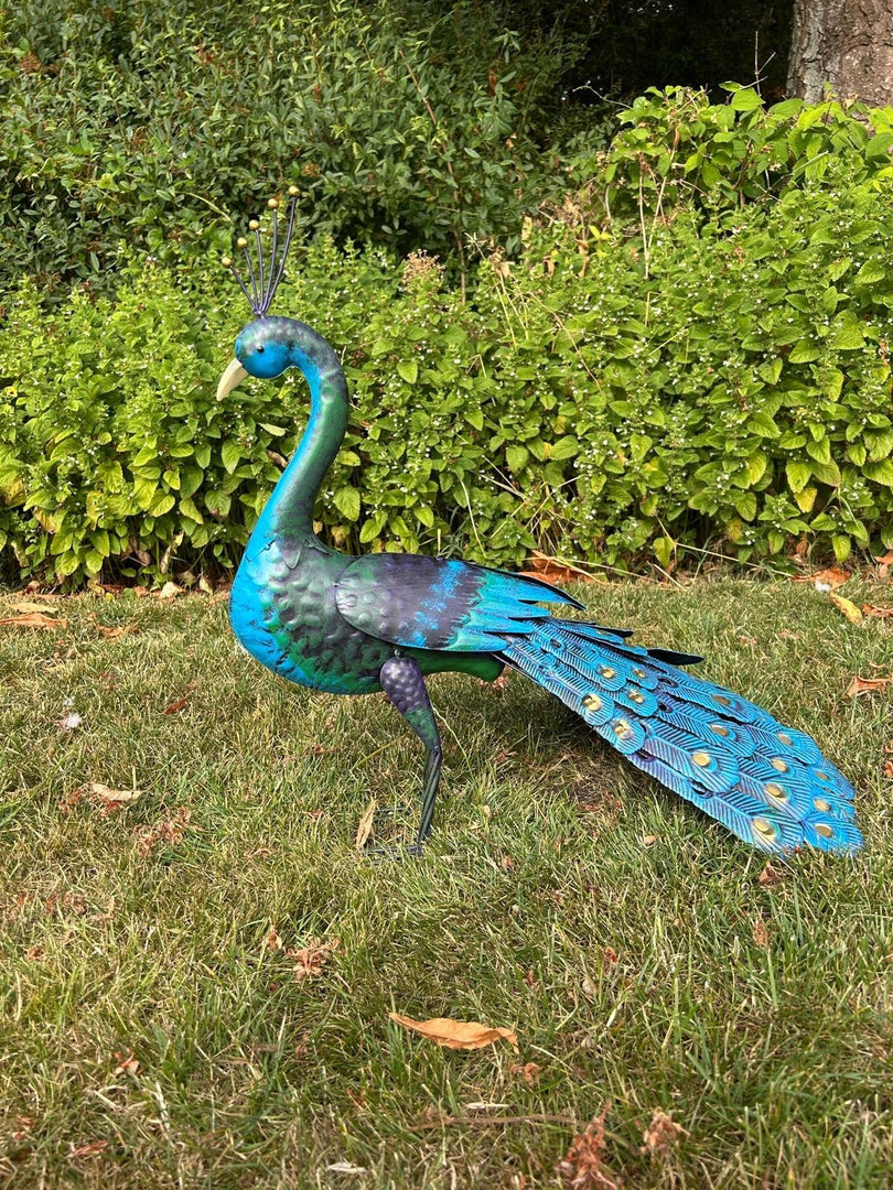 Tail Down Decorative Peacock Bird Animal Metal Garden Giftware  Ornament13