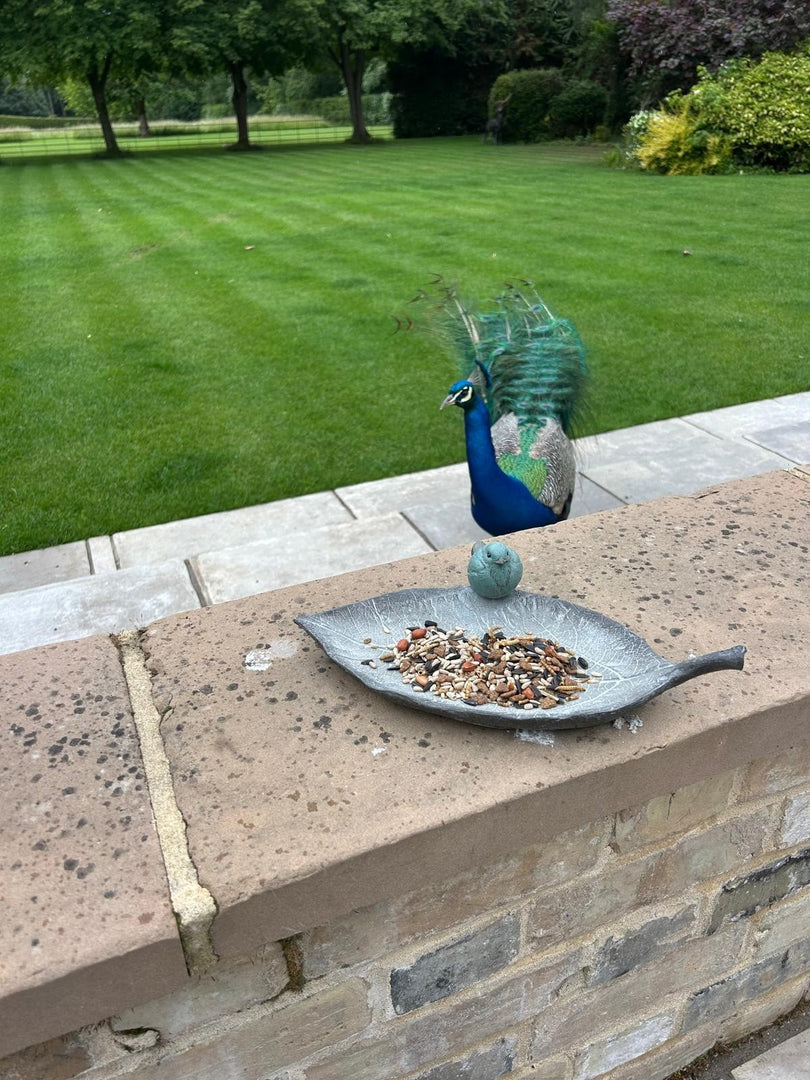 Resin Single Leaf Bowl Bird Bath Feeder Seed Nut Birds Garden Gift Ornament2