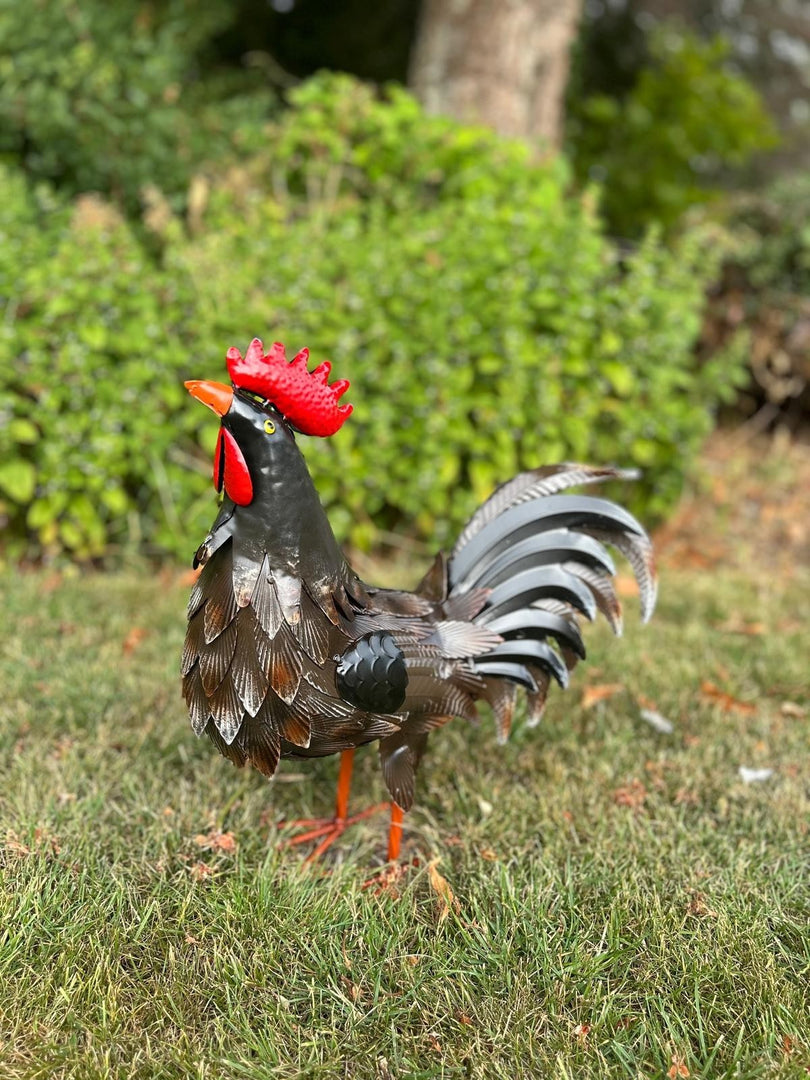 Decorative Dark Brown Metal Cockerel Rooster Garden Outdoor Lawn Ornament Decor8