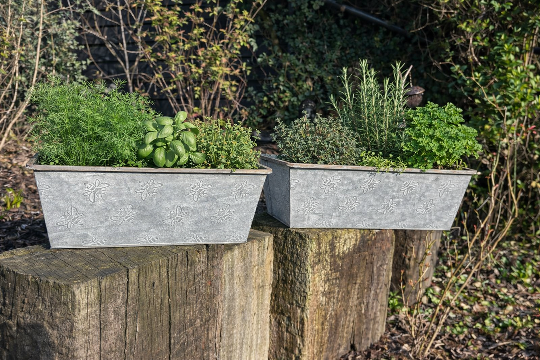 Set Of 2 Bee Zinc Rectangular Garden Planters Plant Herb Pot Embossed