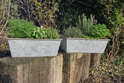 Set Of 2 Bee Zinc Rectangular Garden Planters Plant Herb Pot Embossed