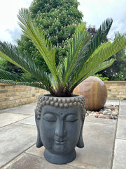 Large Buddha Head Garden Stone Effect Pot Planter