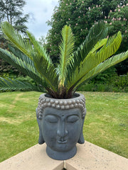 Large Buddha Head Garden Stone Effect Pot Planter