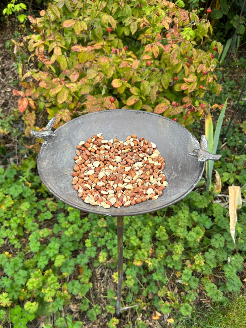 Antique Grey Bird Bath Feeder Garden Giftware Decor Decoration