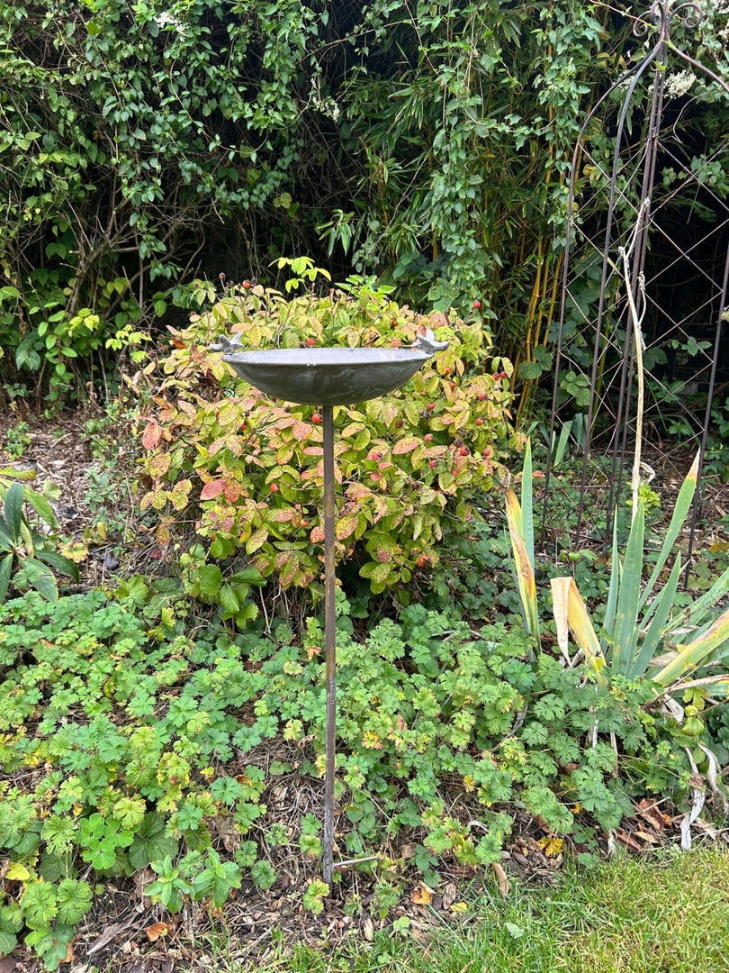 Antique Grey Bird Bath Feeder Garden Giftware Decor Decoration