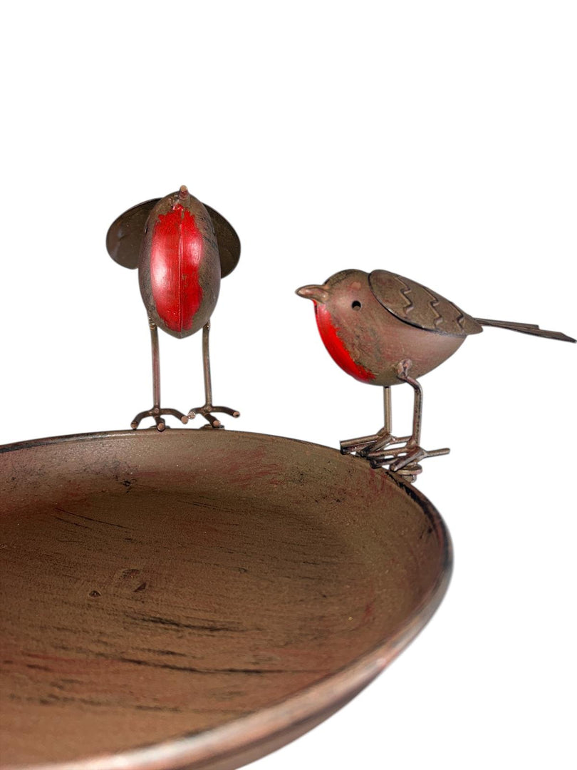 Rustic Robin Birdbath Freestanding Water Bird Food Table Garden Decoration