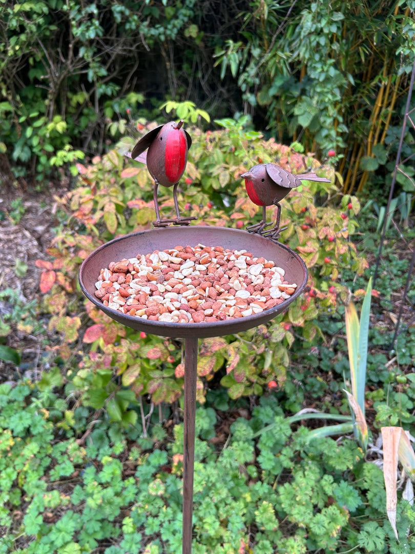 Rustic Robin Birdbath Freestanding Water Bird Food Table Garden Decoration
