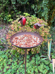 Rustic Robin Birdbath Freestanding Water Bird Food Table Garden Decoration