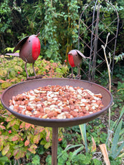 Rustic Robin Birdbath Freestanding Water Bird Food Table Garden Decoration