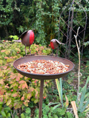Rustic Robin Birdbath Freestanding Water Bird Food Table Garden Decoration