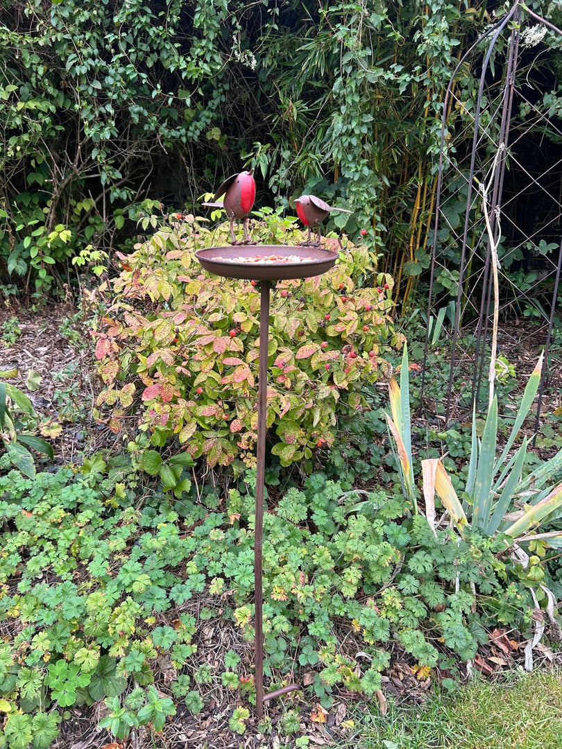Rustic Robin Birdbath Freestanding Water Bird Food Table Garden Decoration