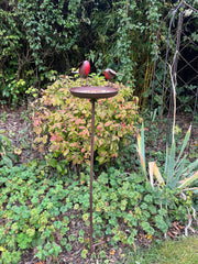 Rustic Robin Birdbath Freestanding Water Bird Food Table Garden Decoration