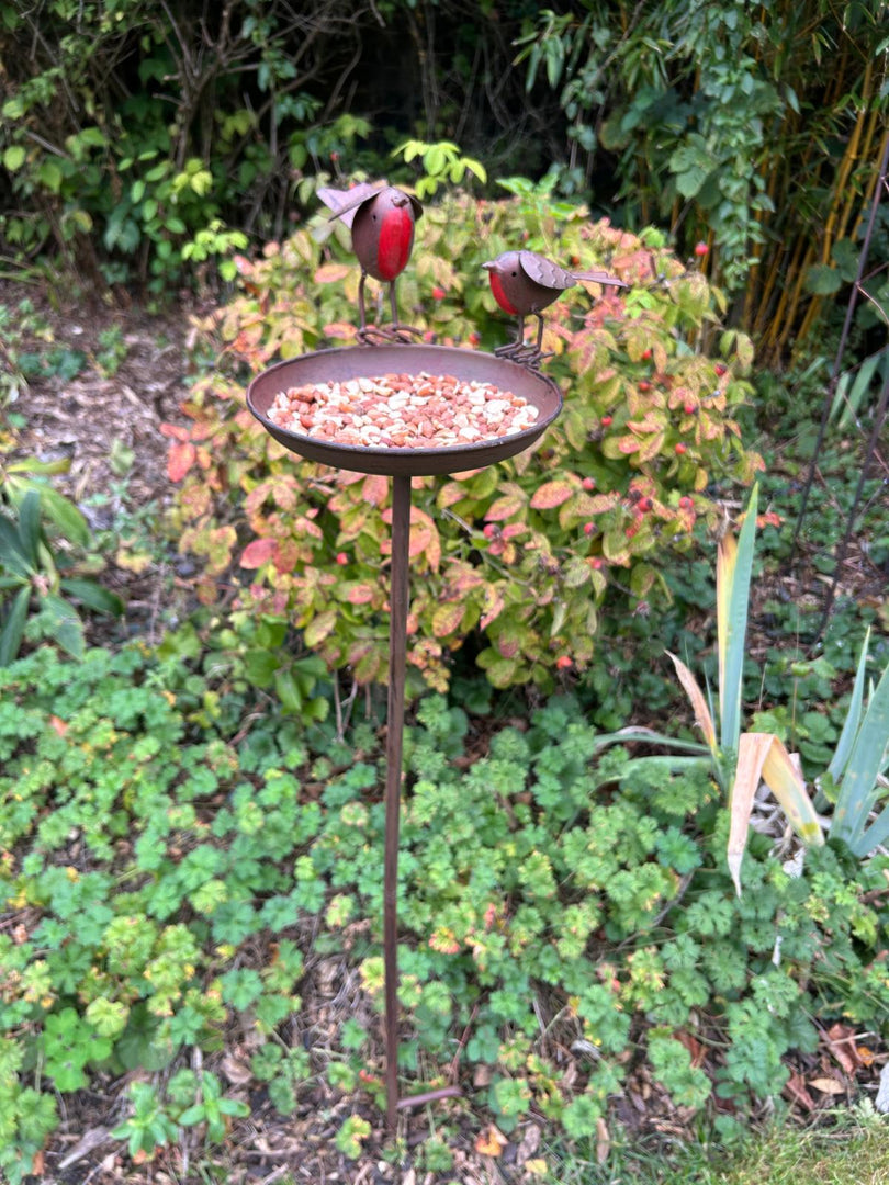 Rustic Robin Birdbath Freestanding Water Bird Food Table Garden Decoration