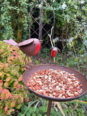 Rustic Robin Birdbath Freestanding Water Bird Food Table Garden Decoration