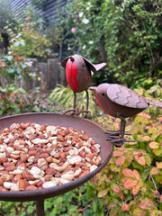Rustic Robin Birdbath Freestanding Water Bird Food Table Garden Decoration