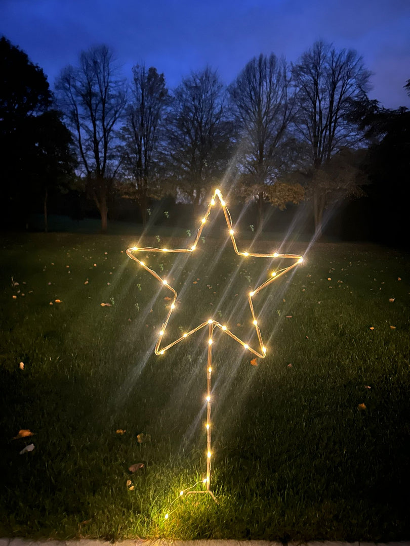 Grey Star Stake Plant Support Decorative Metal Garden Ornament Large Or XL