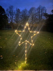 Grey Star Stake Plant Support Decorative Metal Garden Ornament Large Or XL