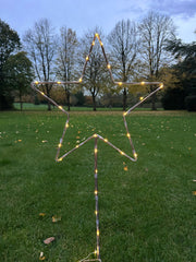 Grey Star Stake Plant Support Decorative Metal Garden Ornament Large Or XL