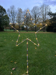 Grey Star Stake Plant Support Decorative Metal Garden Ornament Large Or XL