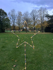 Grey Star Stake Plant Support Decorative Metal Garden Ornament Large Or XL