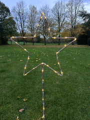 Grey Star Stake Plant Support Decorative Metal Garden Ornament Large Or XL