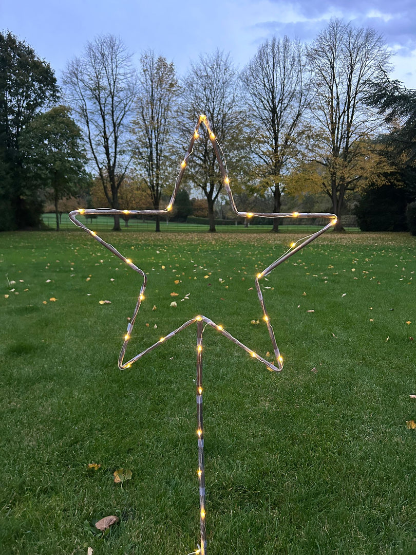 Grey Star Stake Plant Support Decorative Metal Garden Ornament Large Or XL