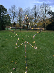 Grey Star Stake Plant Support Decorative Metal Garden Ornament Large Or XL