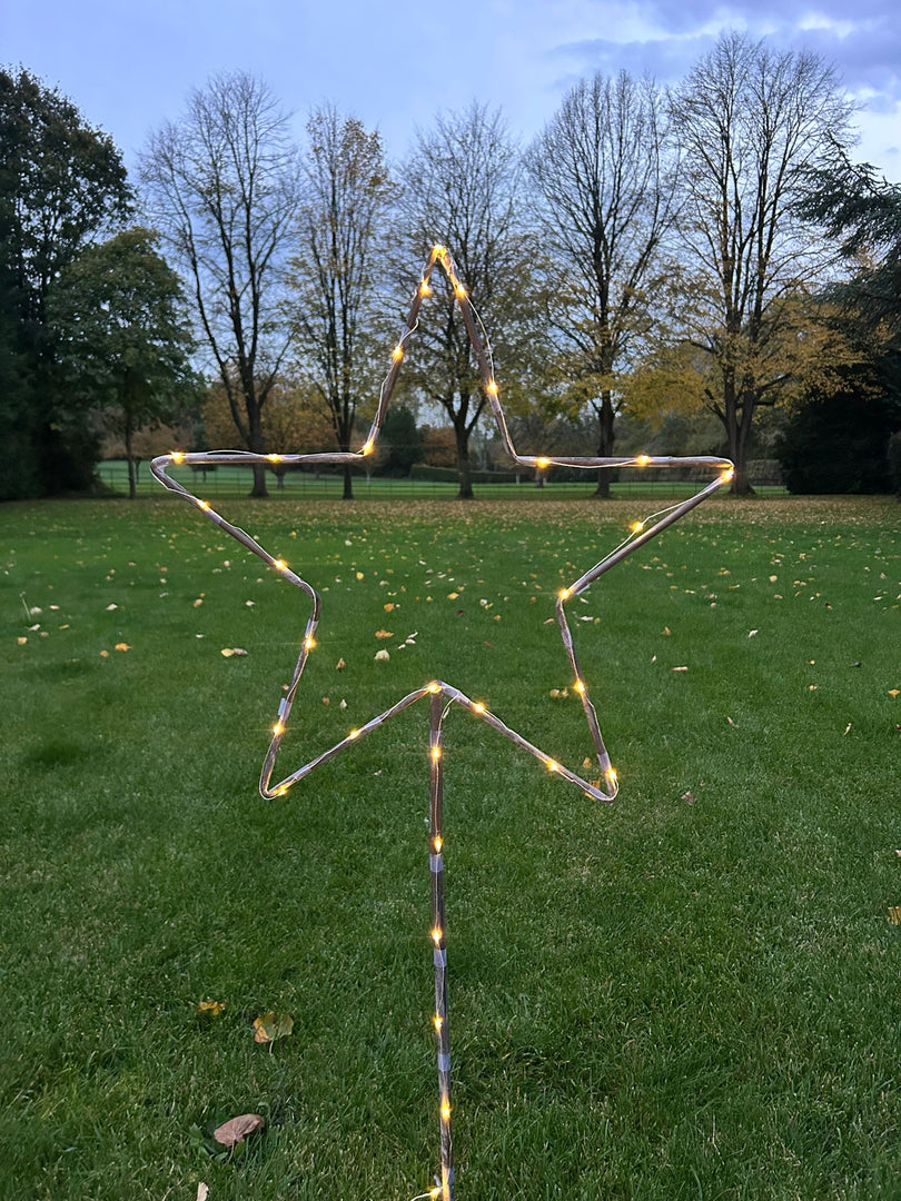 Grey Star Stake Plant Support Decorative Metal Garden Ornament Large Or XL