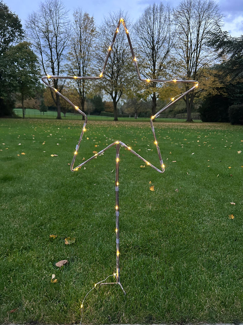 Grey Star Stake Plant Support Decorative Metal Garden Ornament Large Or XL