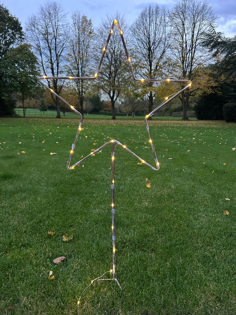 Grey Star Stake Plant Support Decorative Metal Garden Ornament Large Or XL