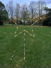 Grey Star Stake Plant Support Decorative Metal Garden Ornament Large Or XL