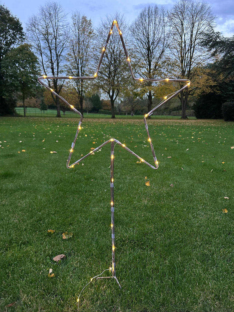 Grey Star Stake Plant Support Decorative Metal Garden Ornament Large Or XL