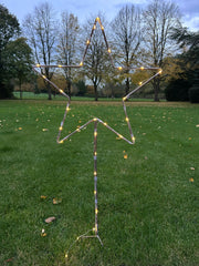 Grey Star Stake Plant Support Decorative Metal Garden Ornament Large Or XL