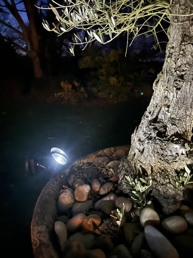 Solar Spot Light Ground Spike Garden Home Driveway Doorway 2pcs with Solar Panel