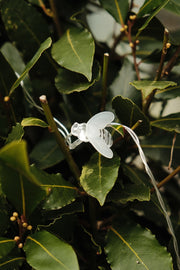 Solar Bumblebee Bee String Lights Decorative Garden Outdoor LED Warm Eco Light