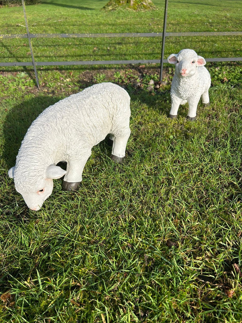 Resin Sheep Ornaments Lamb Ewe Garden Farm Figures Choice Single or Set of 2