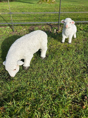 Resin Sheep Ornaments Lamb Ewe Garden Farm Figures Choice Single or Set of 2